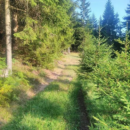 Apartma Forest Fairy Vitanje